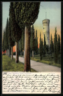 Cartolina San Martino Della Battaglia, La Torre  - Autres & Non Classés