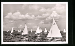 AK Kiel, Regatta Während Der Kieler Woche  - Zeilen