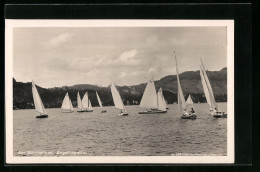 AK Segelregatta Am Wörthersee, Segelsport  - Segeln