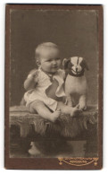 Fotografie Ludwig Mertens, Rendsburg, Junger Knabe Karlo Mit Stoffhund Im Atelier  - Anonieme Personen