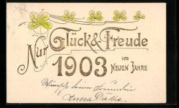 AK Nur Glück Und Freude, Jahreszahl 1903  - Autres & Non Classés