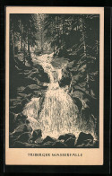 Künstler-AK Triberg, Wasserfall Mit Waldpartie  - Triberg