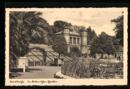 AK Karlsruhe, Im Botanischen Garten  - Karlsruhe