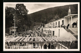 AK Wildbad I. Schwarzwald, Gasthaus Neue Trink- Und Wandelhalle  - Other & Unclassified