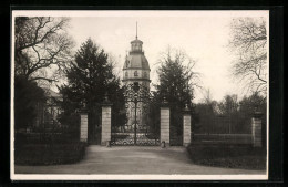 AK Karlsruhe, Schlossgarten  - Karlsruhe