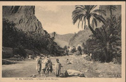 E149 EL KANTARA OUED ET GORGE ANE PALMIER - Autres & Non Classés