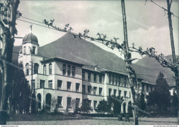 O579 Cartolina Albino Scuola Apostolica Provincia Di Bergamo - Bergamo