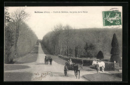 CPA Bellême, Foret De Belleme, Vue Prise De La Herse  - Other & Unclassified