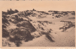 LITORAL BELGE  LA  MER ET LE SABLE - Autres & Non Classés