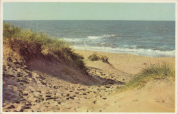 LITORAL BELGE   DUNES ET MER - Other & Unclassified