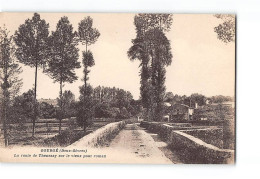 GOURGE - La Route De Thenezay Sur Le Vieux Pont Roman - Très Bon état - Sonstige & Ohne Zuordnung