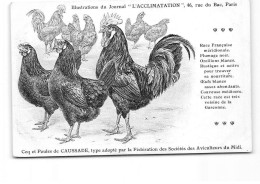 PARIS - Illustration Du Journal " L'Acclimatation " - Coq Et Poules De Caussade - Très Bon état - Health, Hospitals