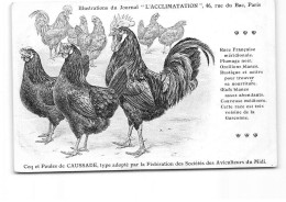 PARIS - Illustration Du Journal " L'Acclimatation " - Coq Et Poules De Caussade - Très Bon état - Gesundheit, Krankenhäuser