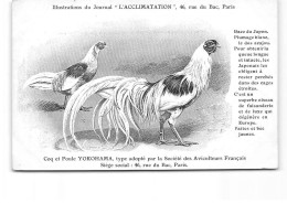 PARIS - Illustration Du Journal " L'Acclimatation " - Coq Et Poule De Yokohama - Très Bon état - Salute, Ospedali