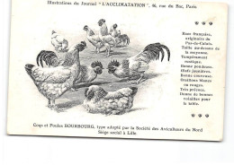 PARIS - Illustration Du Journal " L'Acclimatation " - Coqs Et Poules Bourbourg - Très Bon état - Salud, Hospitales