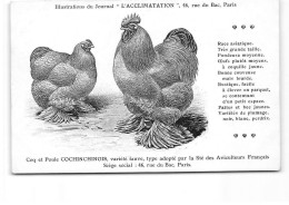 PARIS - Illustration Du Journal " L'Acclimatation " - Coq Et Poule Cochinchinois - Très Bon état - Salud, Hospitales