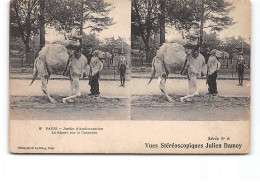 PARIS - Jardin D'Acclimatation - Le Départ Sur Le Chameau - Vues Stéréoscopiques Julien Damoy - Très Bon état - Parks, Gärten