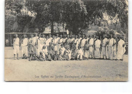 PARIS - Les Gallas Au Jardin Zoologique D'Acclimatation - Très Bon état - Parken, Tuinen