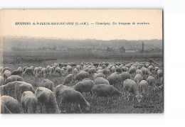 CHAMPIGNY - Un Troupeau De Moutons - Très Bon état - Sonstige & Ohne Zuordnung
