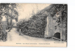 PROVINS - Une Allée Du Jardin Garnier - Fontaine Sainte Elisabeth - Très Bon état - Provins