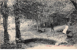 ORBAIS - La Source Du Moulin - Très Bon état - Sonstige & Ohne Zuordnung