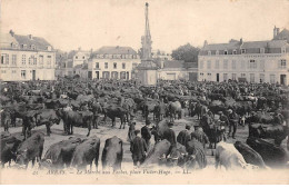 ARRAS - Le Marché Aux Vaches - Place Victor Hugo - Très Bon état - Arras