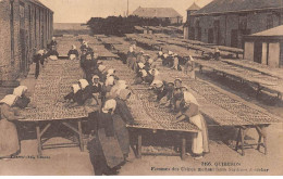 QUIBERON - Femmes Des Usines Mettant Leurs Sardines à Sécher - Très Bon état - Quiberon