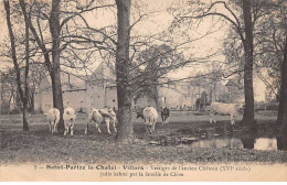 SAINT PARIZE LE CHATEL - VILLARS - Vestiges De L'ancien Château - état - Other & Unclassified