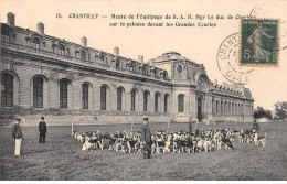 CHANTILLY - Meute De L'Equipage De SAR Mgr Le Duc De Chartres Sur La Pelouse Devant Les Grandes Ecuries - Très Bon état - Chantilly