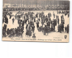 LYON - Parc De La Tête D'Or - Patinage Sur Le Lac - Très Bon état - Other & Unclassified