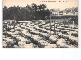 AUTUN Moderne - Foire De La Saint Ladre - Très Bon état - Autun