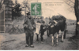 L'Auvergne Pittoresque - Attelage De Vaches - Très Bon état - Sonstige & Ohne Zuordnung