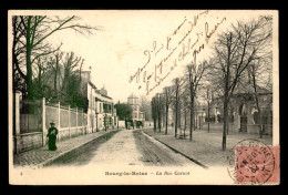 92 - BOURG-LA-REINE - LA RUE CARNOT - Bourg La Reine