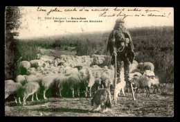 33 - ARCACHON - BERGER LANDAIS ET SES MOUTONS - Arcachon