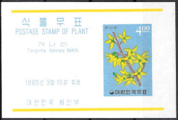 Corea/Korea/Corée: Forsythia Koreana - Otros & Sin Clasificación