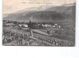 AYSE - Château Cailler Et Vue Générale - Très Bon état - Sonstige & Ohne Zuordnung