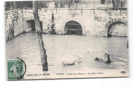 PARIS - Crue De La Seine - Jardin Des Plantes - Les Ours Blancs - Très Bon état - Überschwemmung 1910