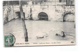 PARIS - Crue De La Seine - Jardin Des Plantes - Les Ours Blancs - Très Bon état - Inondations De 1910