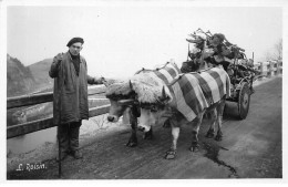 Types Basques - Charette Basque - Très Bon état - Autres & Non Classés