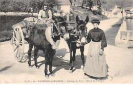 BAGNERES DE BIGORRE - Attelage Du Pays - Route De Campan - Très Bon état - Bagneres De Bigorre