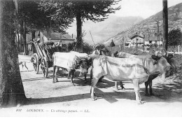 LOURDES - Un Attelage Paysan - Très Bon état - Lourdes