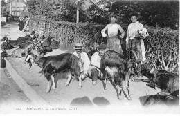 LOURDES - Les Chèvres - Très Bon état - Lourdes