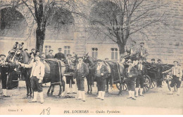 LOURDES - Guides Pyrénéens - Très Bon état - Lourdes