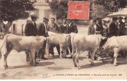 Scènes Et Types Des Pyrénées - Pas D'accord Sur Le Prix - Très Bon état - Other & Unclassified