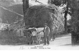 LOURDES - Attelage Du Pays - Très Bon état - Lourdes