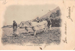 Pyrénées - Le Laboureur - Très Bon état - Other & Unclassified