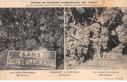 Effets Du Sulfate D'Ammoniaque Sur Vignes Chez M? Piquemal Bonaventure à ESPIRA DE L'AGLY - Très Bon état - Other & Unclassified