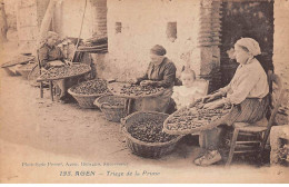 AGEN - Triage De La Prune - Très Bon état - Agen