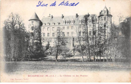 BEAUPREAU - Le Château Vu Des Prairies - Très Bon état - Other & Unclassified
