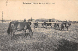 AGEN - Château De PELISSIER -  Très Bon état - Agen